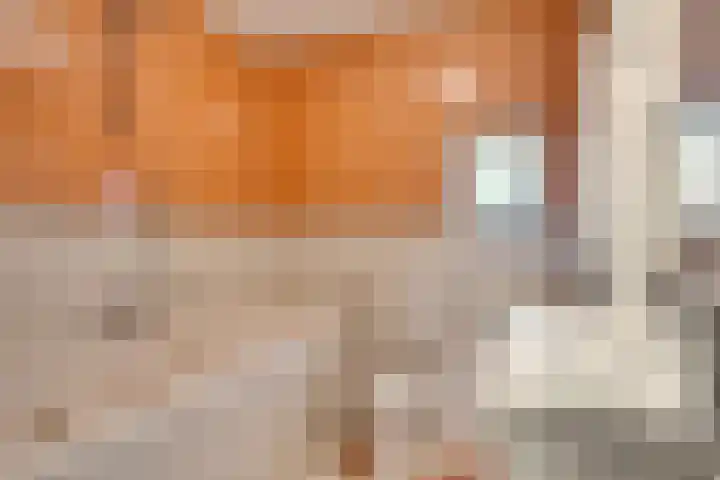 Koolzaadhof 7 Papendrecht thumbnail 33