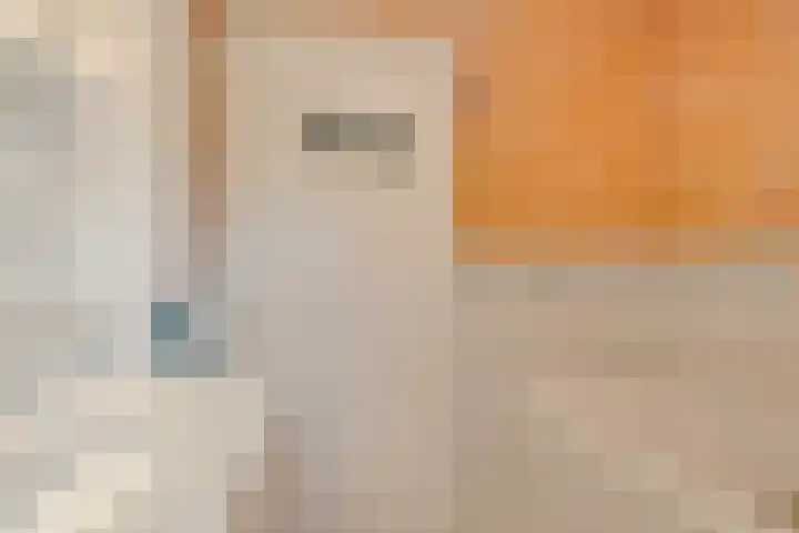 Koolzaadhof 7 Papendrecht thumbnail 34