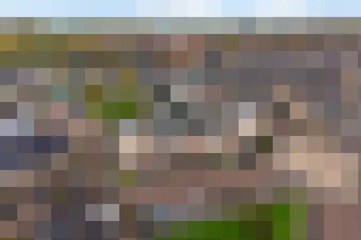 Koolzaadhof 7 Papendrecht thumbnail 4