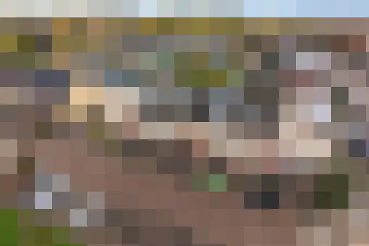 Koolzaadhof 7 Papendrecht thumbnail 40