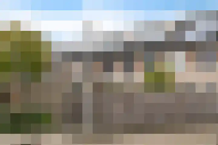 Koolzaadhof 7 Papendrecht thumbnail 43