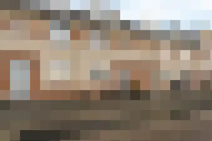 Koolzaadhof 7 Papendrecht thumbnail 5