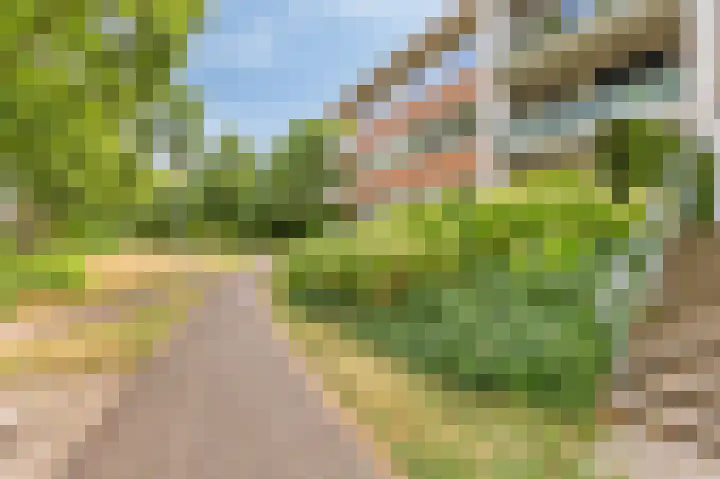 Koolzaadhof 7 Zevenaar thumbnail 13