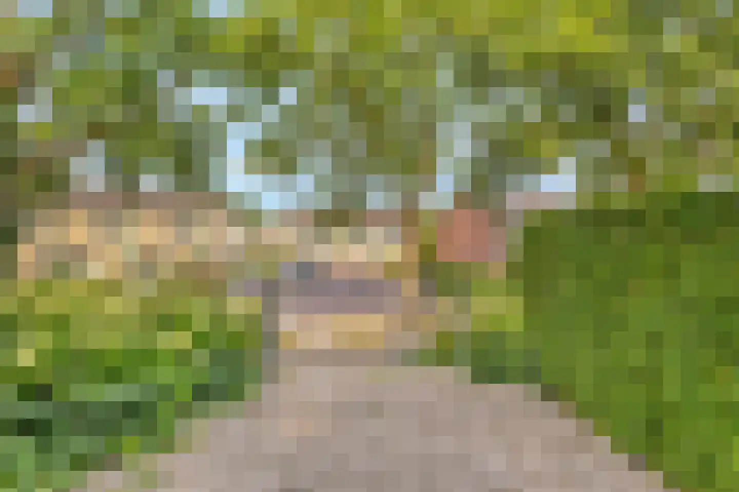 Koolzaadhof 7 Zevenaar thumbnail 15