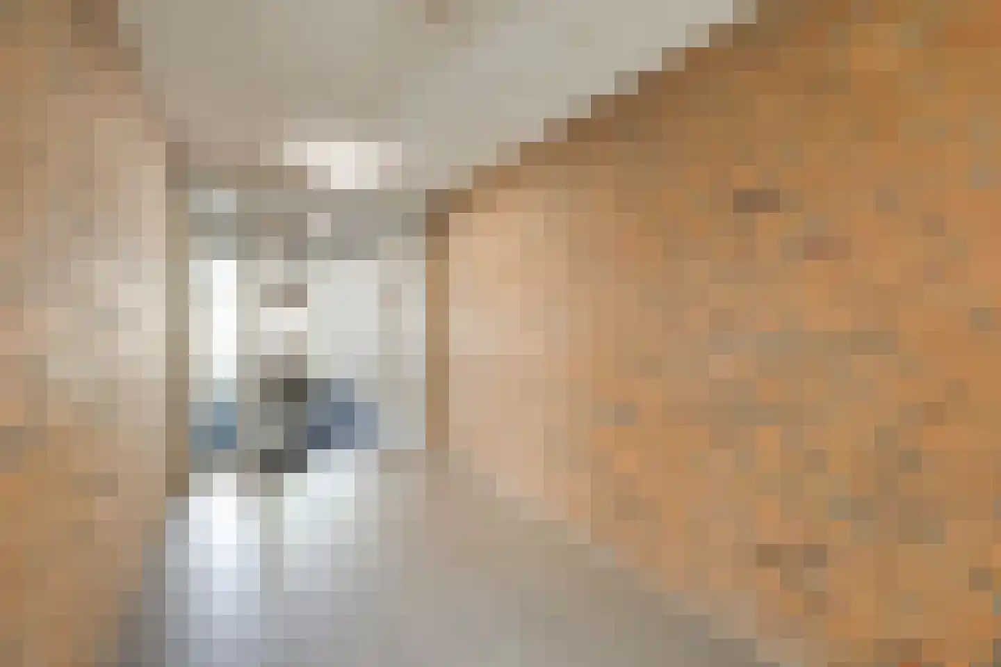 Koolzaadhof 7 Zevenaar thumbnail 18