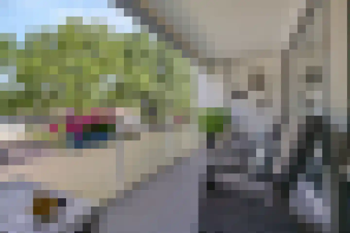 Koolzaadhof 7 Zevenaar thumbnail 29