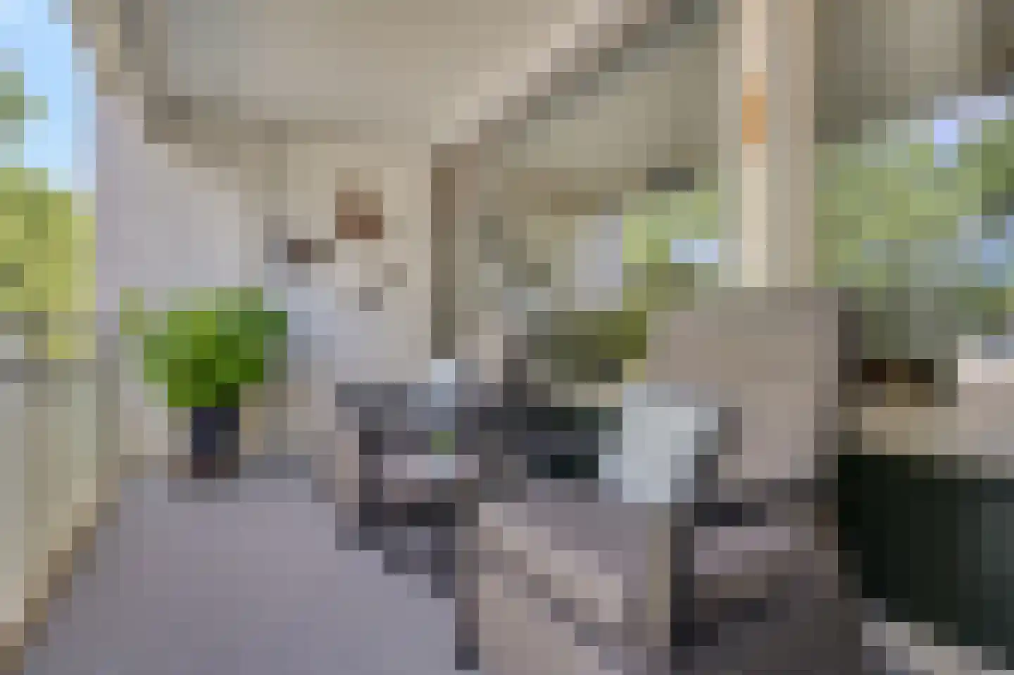 Koolzaadhof 7 Zevenaar thumbnail 30