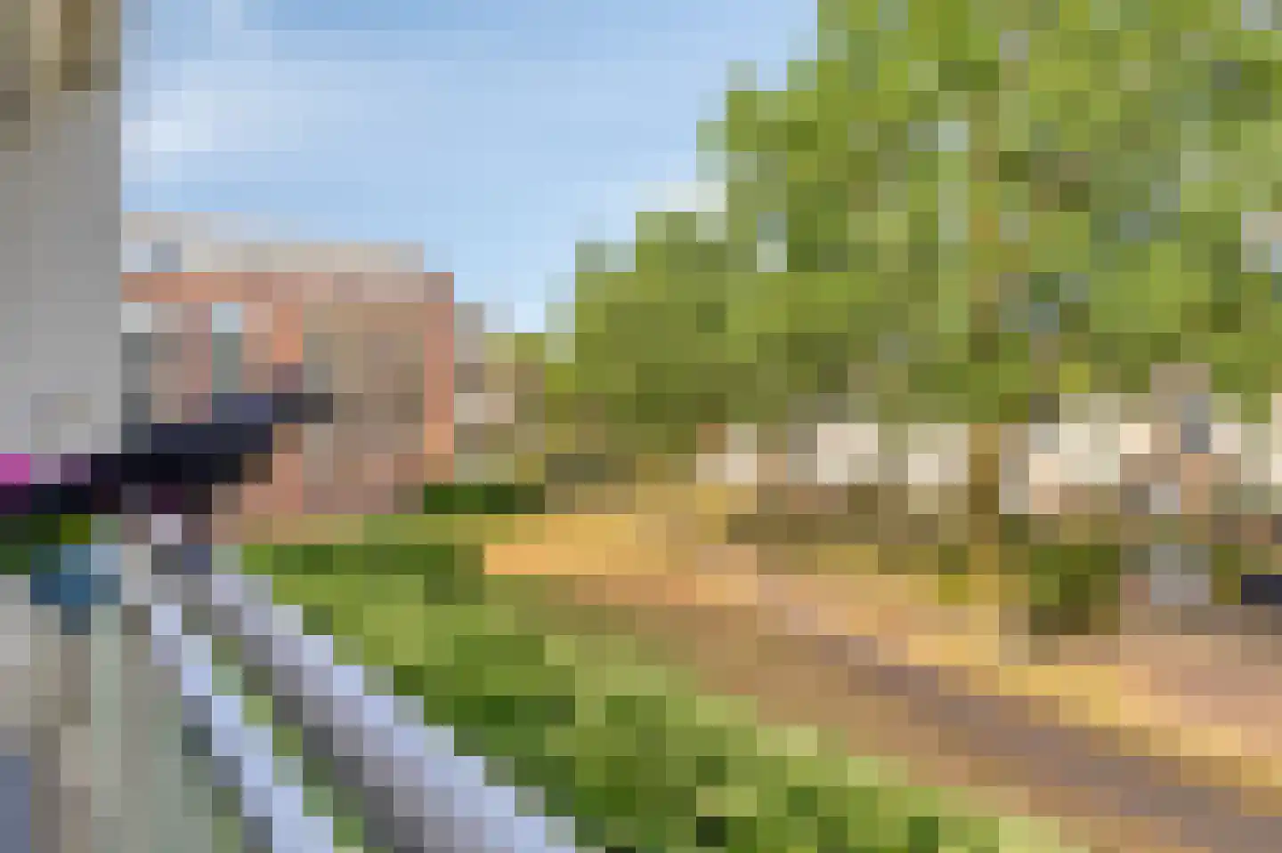 Koolzaadhof 7 Zevenaar thumbnail 31