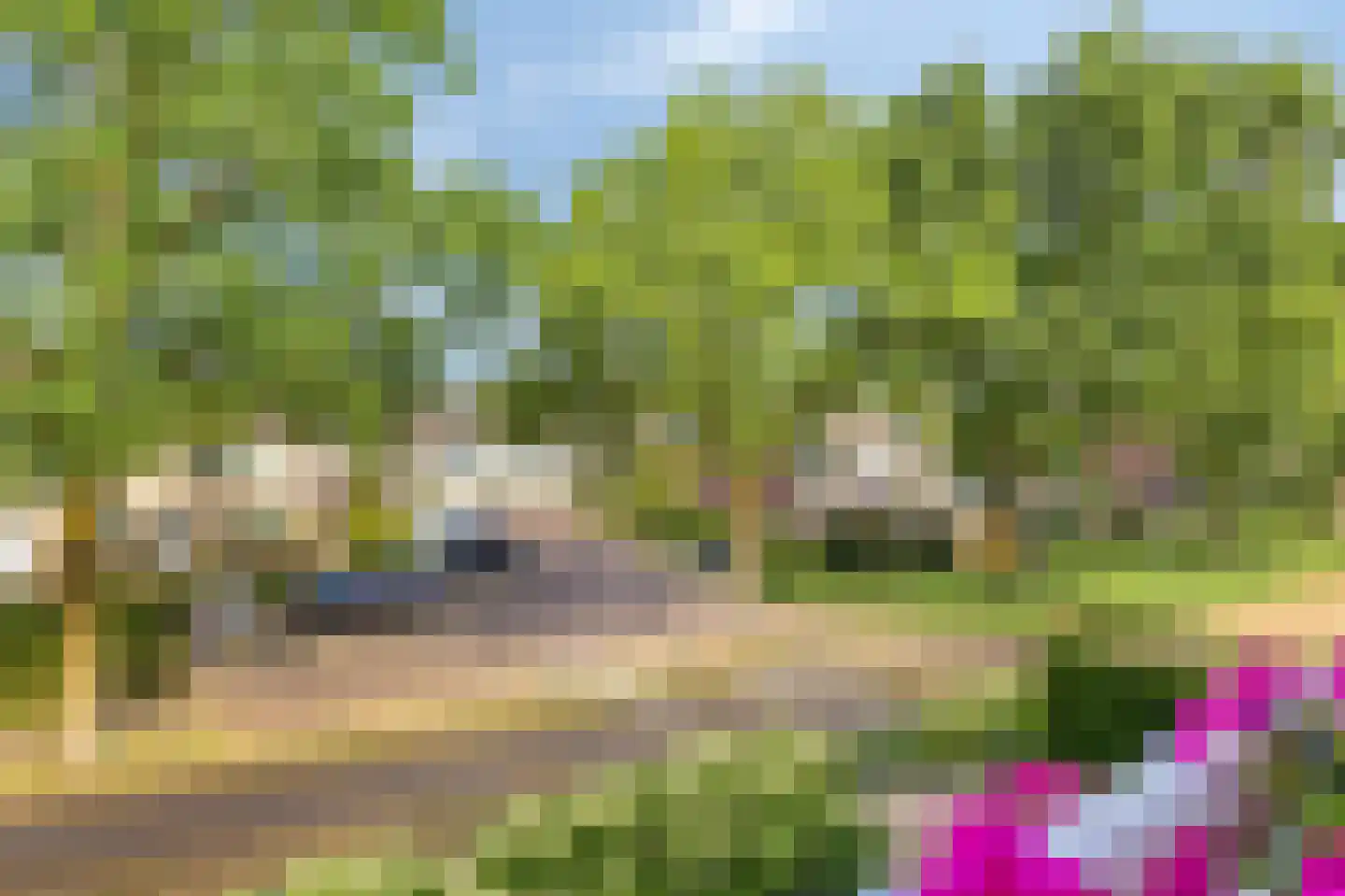 Koolzaadhof 7 Zevenaar thumbnail 32