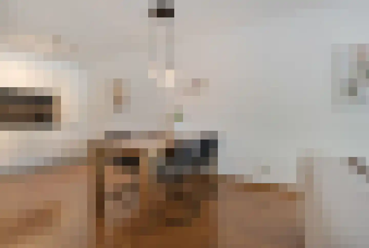 Koolzaadhof 7 Zevenaar thumbnail 33