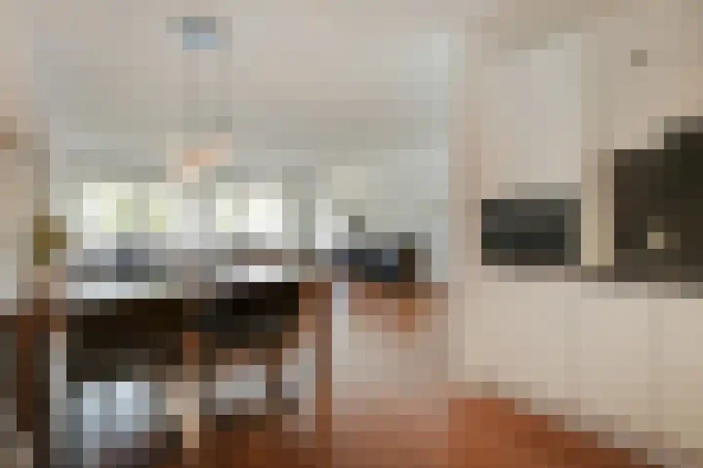 Koolzaadhof 7 Zevenaar thumbnail 34
