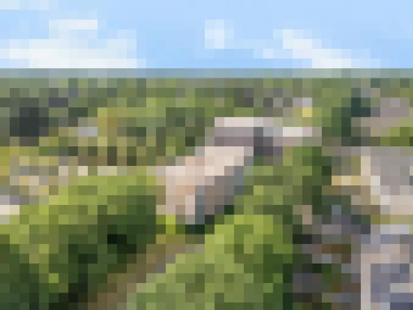 Koolzaadhof 7 Zevenaar thumbnail 5