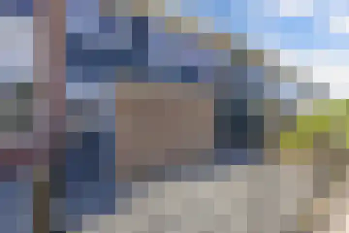 Koolzaadhof 8 Nagele thumbnail 11