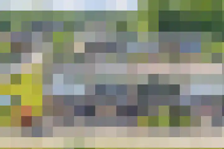 Koolzaadhof 8 Nagele thumbnail 12