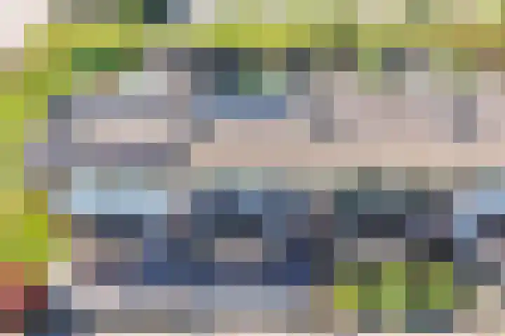 Koolzaadhof 8 Nagele thumbnail 13