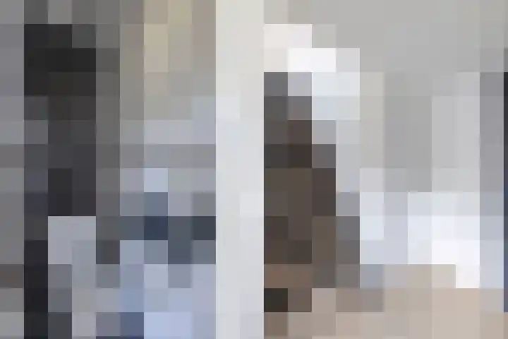 Koolzaadhof 8 Nagele thumbnail 15