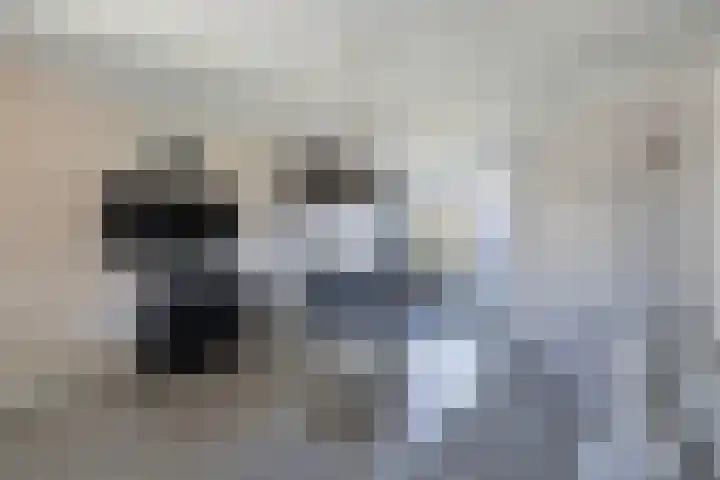 Koolzaadhof 8 Nagele thumbnail 21