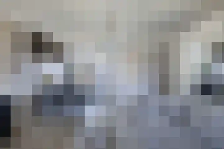 Koolzaadhof 8 Nagele thumbnail 22