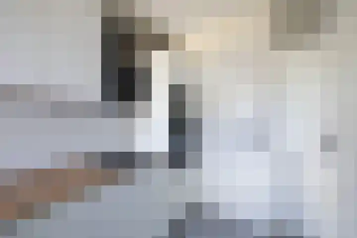 Koolzaadhof 8 Nagele thumbnail 25