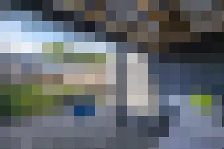 Koolzaadhof 8 Nagele thumbnail 28