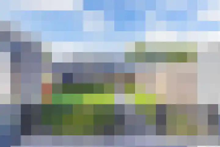 Koolzaadhof 8 Nagele thumbnail 31