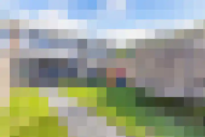 Koolzaadhof 8 Nagele thumbnail 32