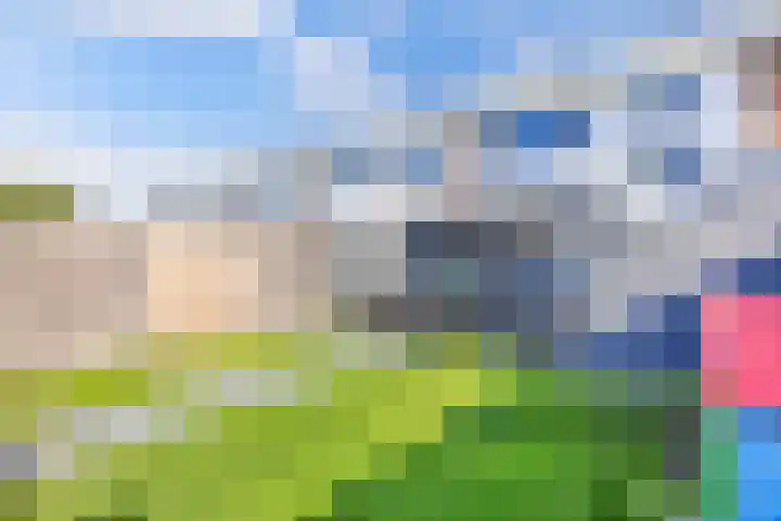 Koolzaadhof 8 Nagele thumbnail 33