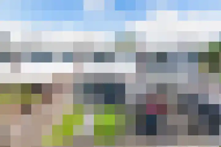 Koolzaadhof 8 Nagele thumbnail 35