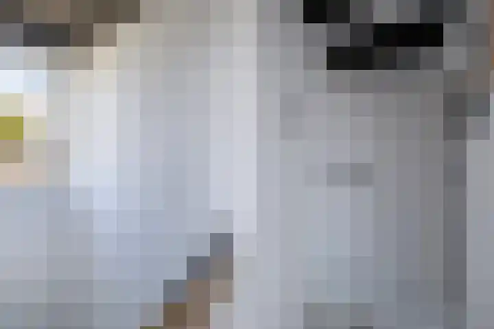 Koolzaadhof 8 Nagele thumbnail 37