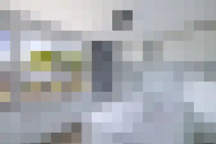 Koolzaadhof 8 Nagele thumbnail 6