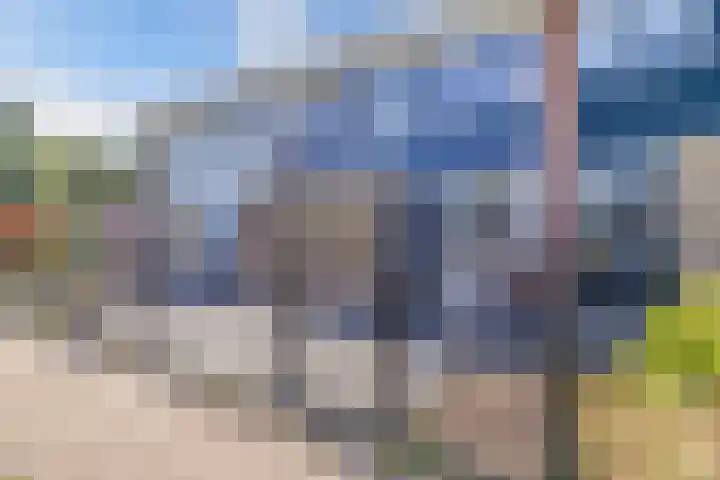 Koolzaadhof 8 Nagele thumbnail 8