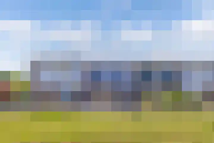 Koolzaadhof 8 Nagele thumbnail 9