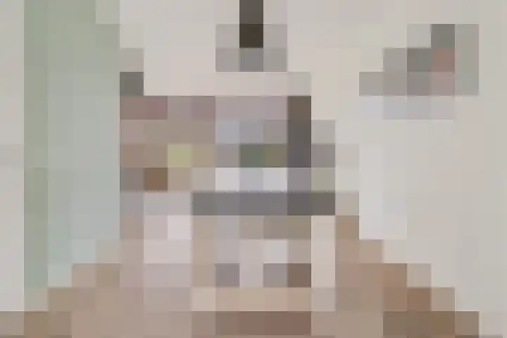 Koolzaadlaan 103 Zeewolde thumbnail 12