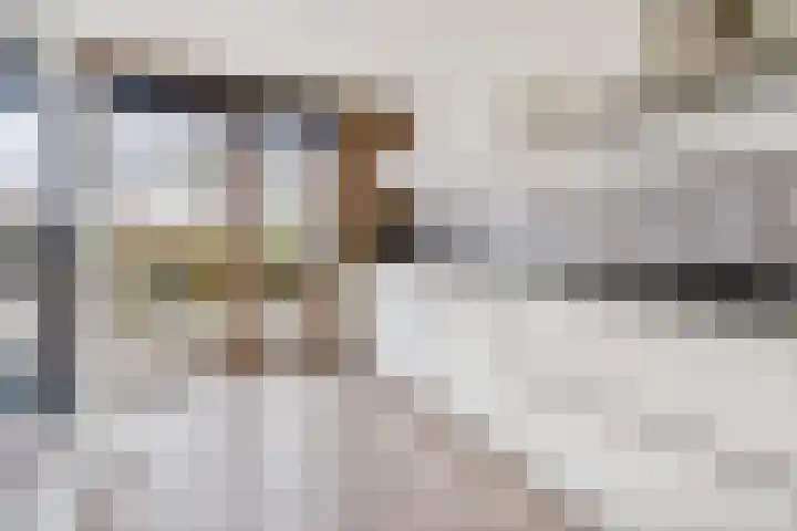 Koolzaadlaan 103 Zeewolde thumbnail 17