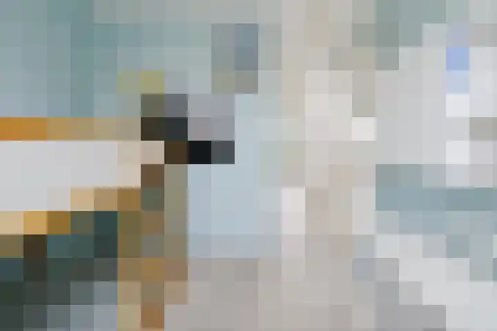 Koolzaadlaan 103 Zeewolde thumbnail 30