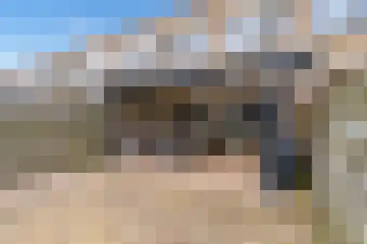 Koolzaadlaan 103 Zeewolde thumbnail 38