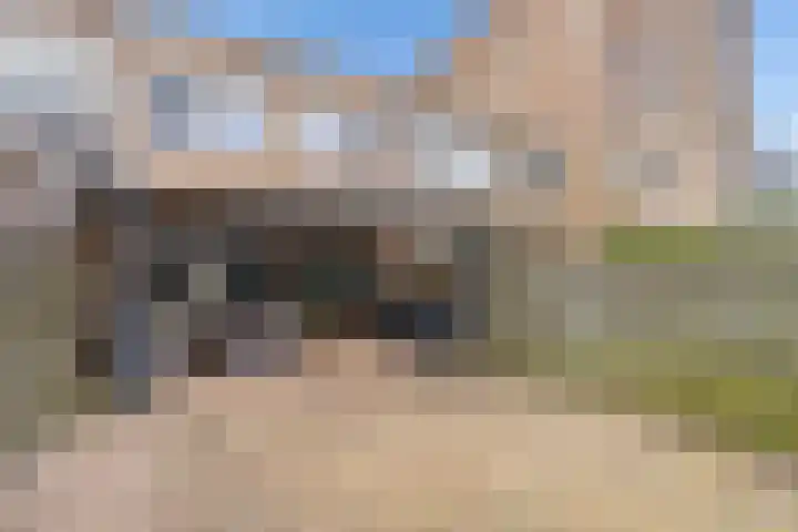 Koolzaadlaan 103 Zeewolde thumbnail 4