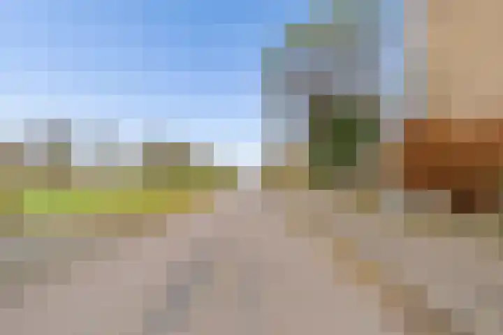 Koolzaadlaan 103 Zeewolde thumbnail 49