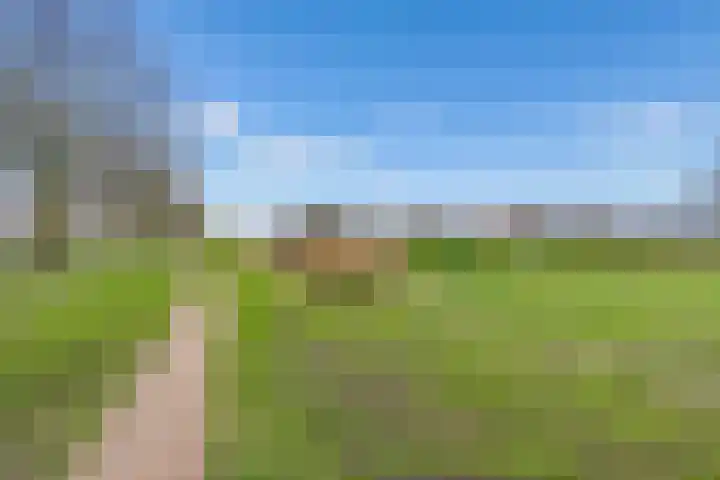 Koolzaadlaan 103 Zeewolde thumbnail 50