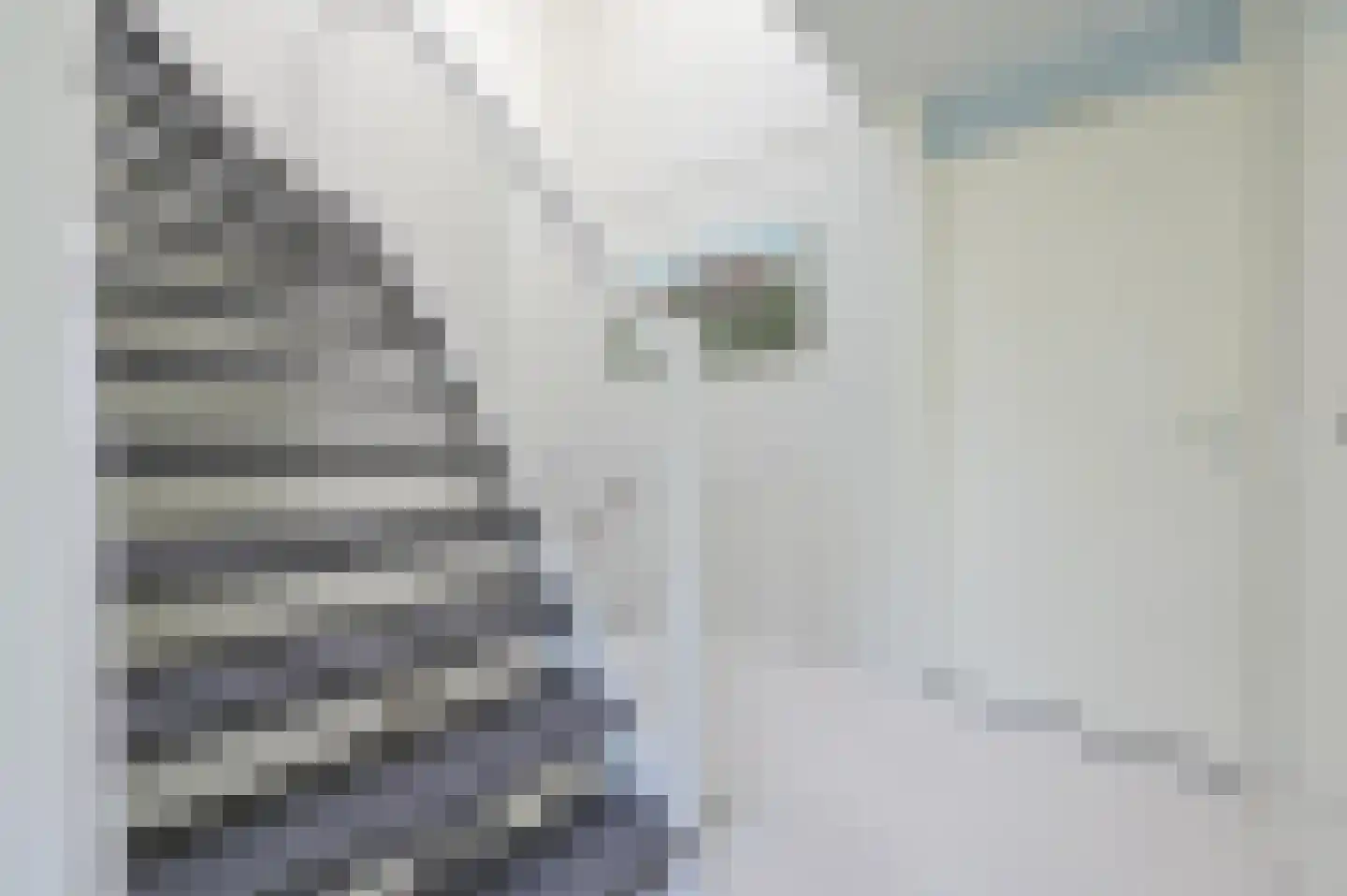 Koolzaadlaan 127 Zeewolde thumbnail 19