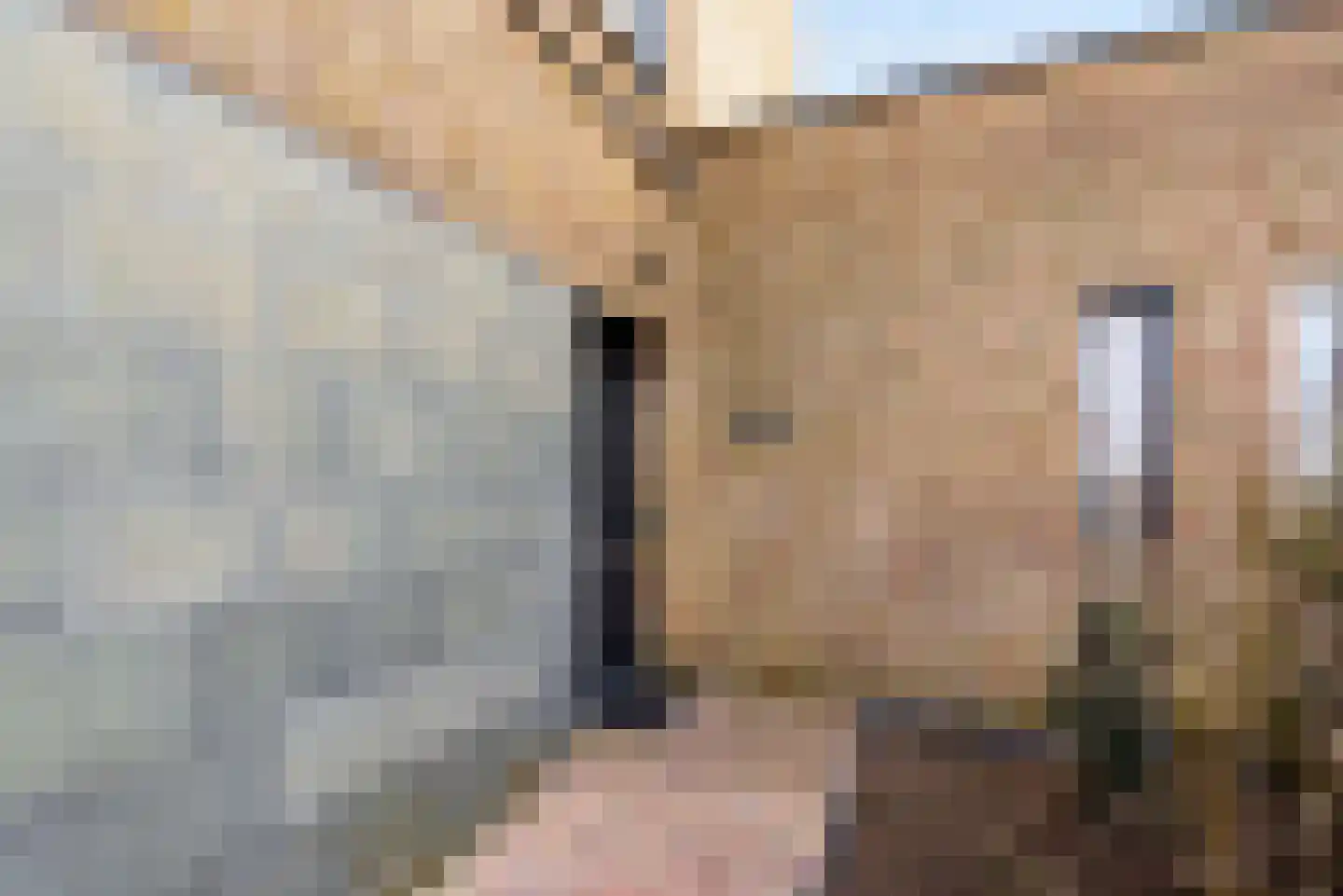Koolzaadlaan 155 Zeewolde thumbnail 4