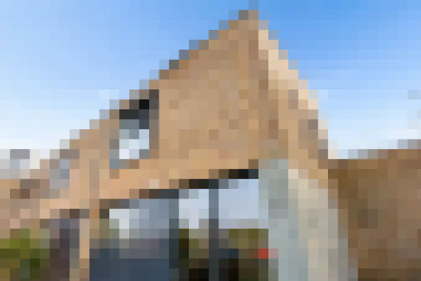 Koolzaadlaan 155 Zeewolde thumbnail 54