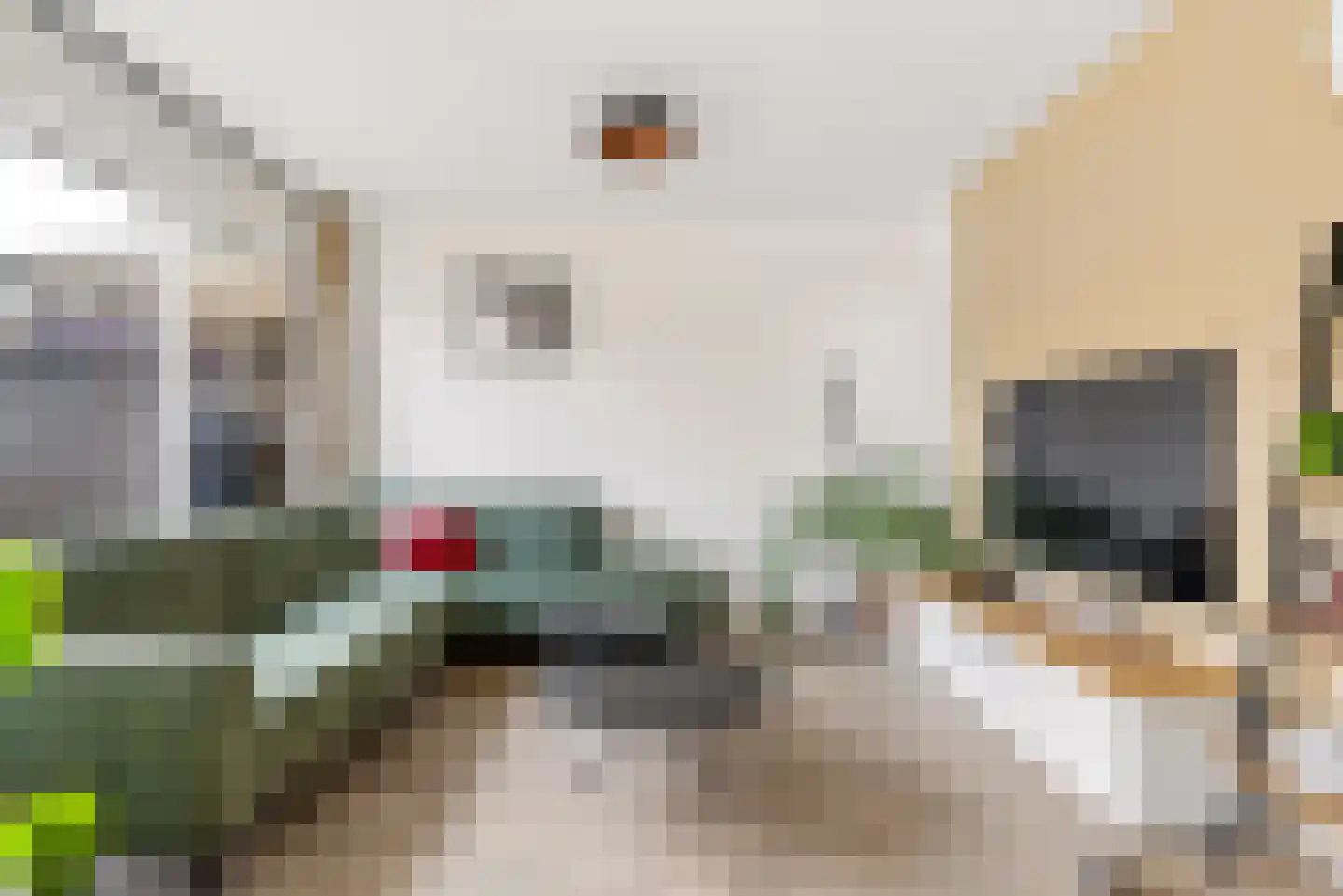 Koolzaadlaan 155 Zeewolde thumbnail 8