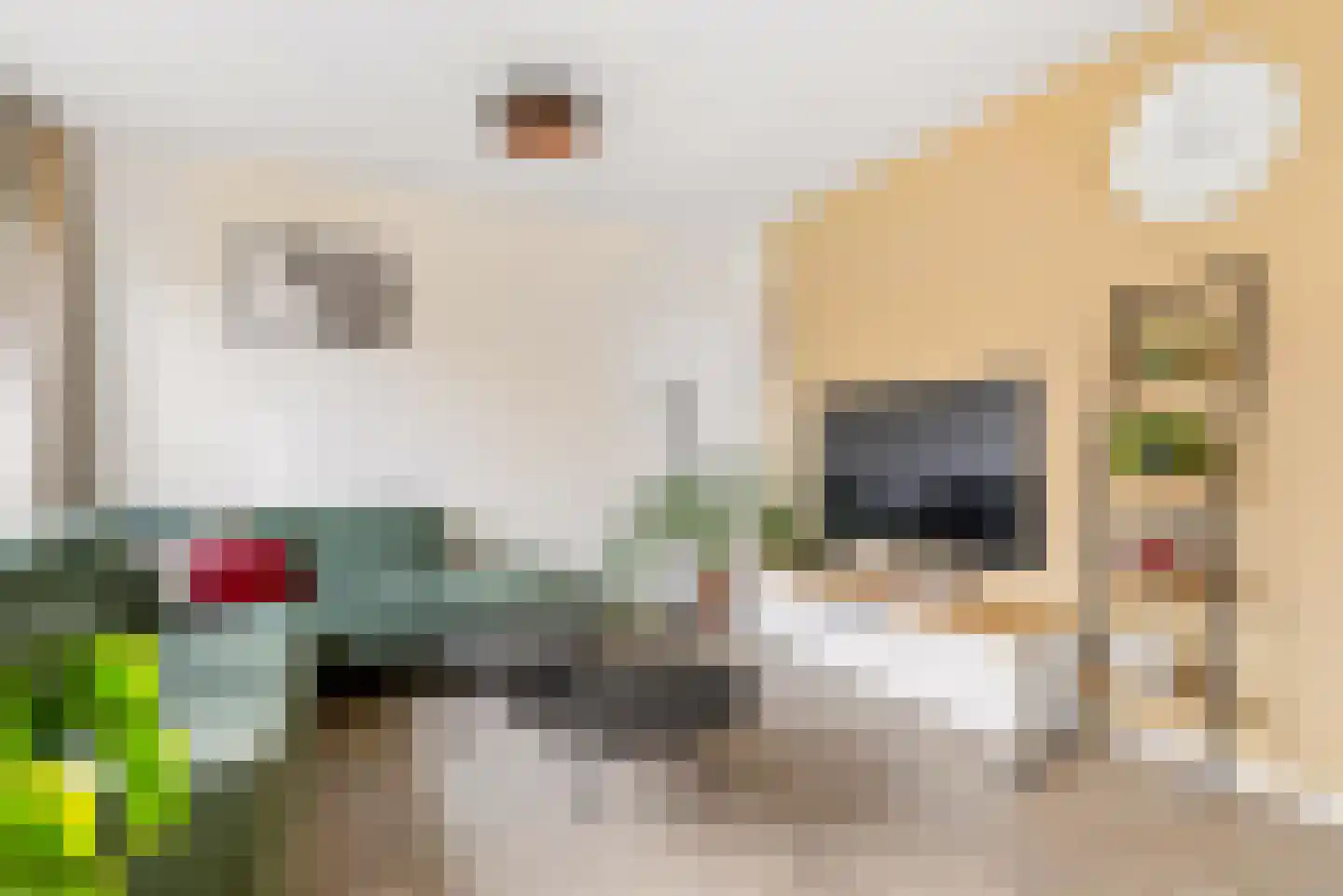 Koolzaadlaan 155 Zeewolde thumbnail 9