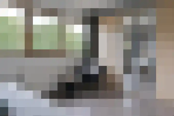 Koolzaadlaan 19 Zeewolde thumbnail 12