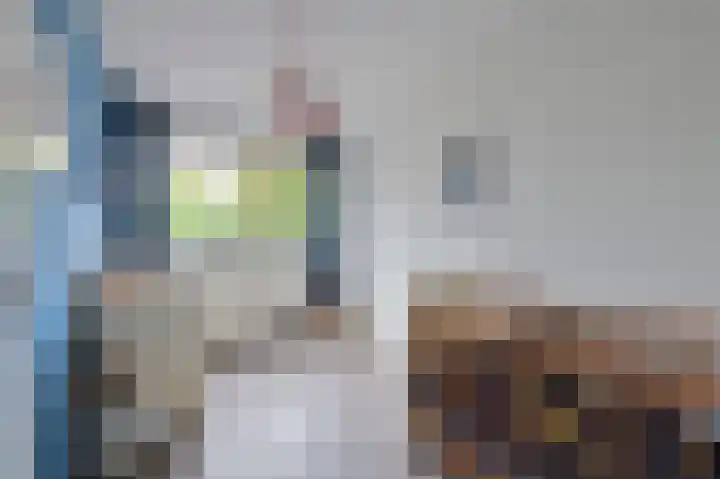 Koolzaadlaan 19 Zeewolde thumbnail 13