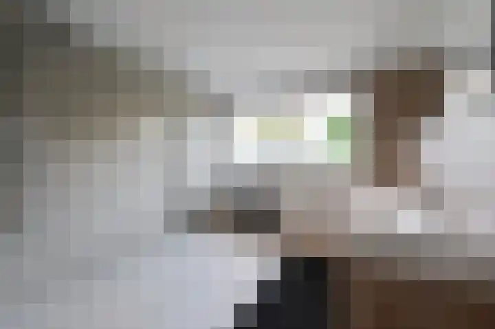 Koolzaadlaan 19 Zeewolde thumbnail 14