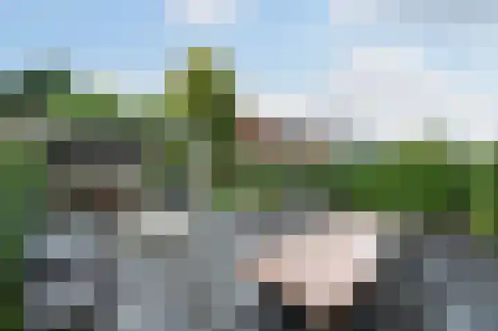 Koolzaadlaan 19 Zeewolde thumbnail 24