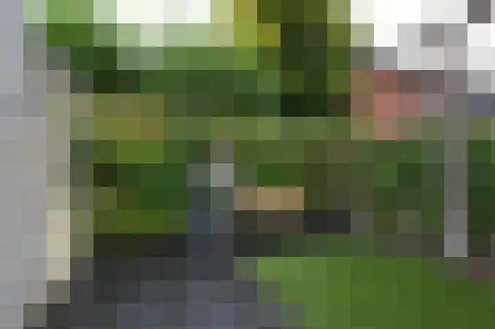 Koolzaadlaan 19 Zeewolde thumbnail 26