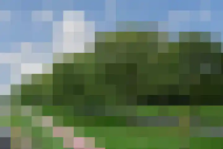 Koolzaadlaan 19 Zeewolde thumbnail 27